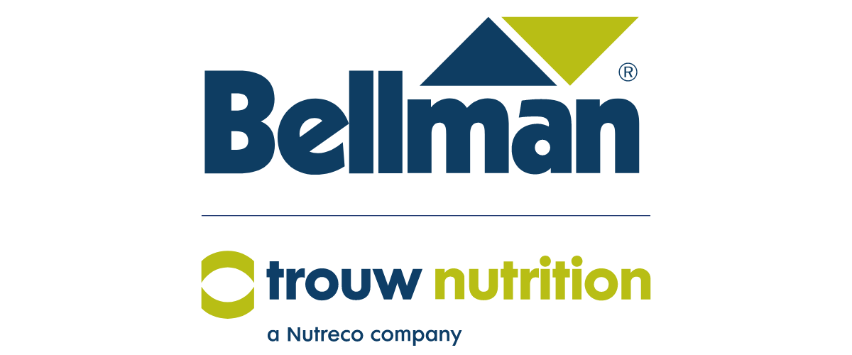 Bellmann